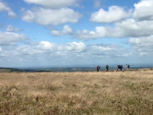 2 day hike on dartmoor