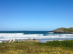 Surfing at WHitesands