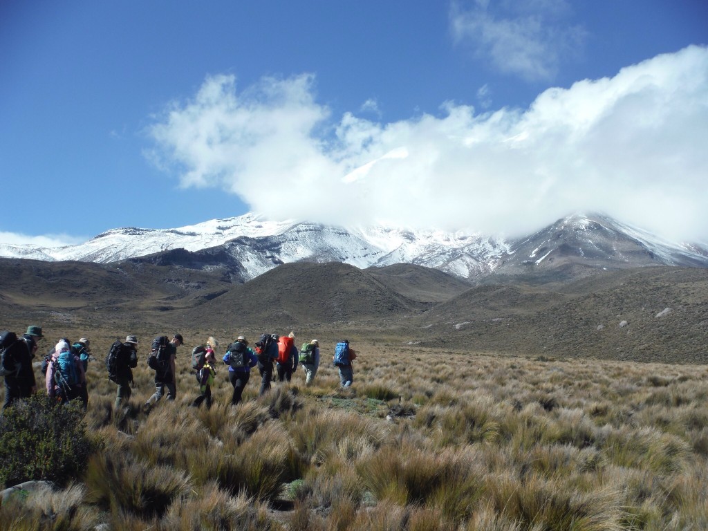 Trekking below Chimbarazo