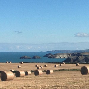 Looking over to Strumble Head