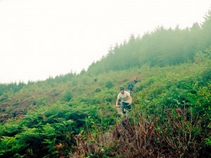 Mountain Biking at Haldon Forest