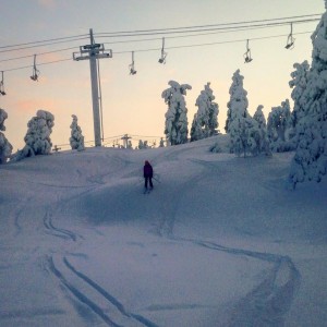Some powder in the trees Skiing in Finland