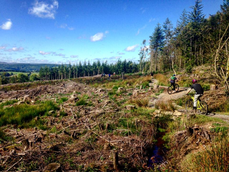 Mountain Biking at Haldon Forest with the Bridgwater College MOD apprentices