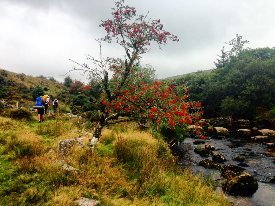 Walking on Dartmoor with the Bridgwater College MOD apprentices