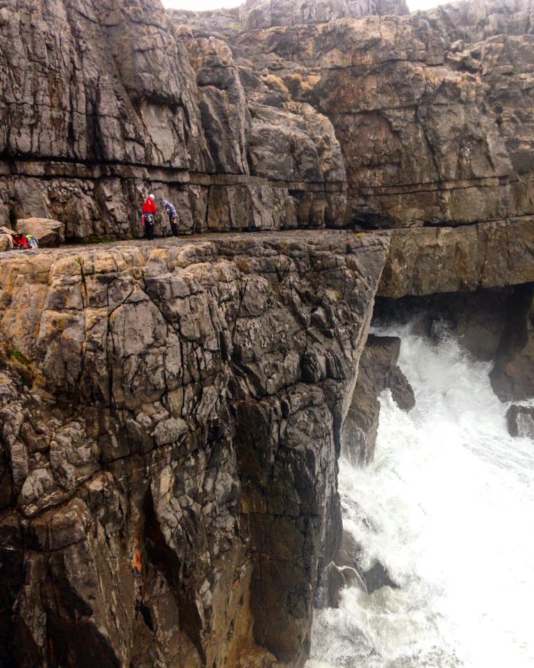 Newton Head, Pembrokeshire, during an SPA assessment