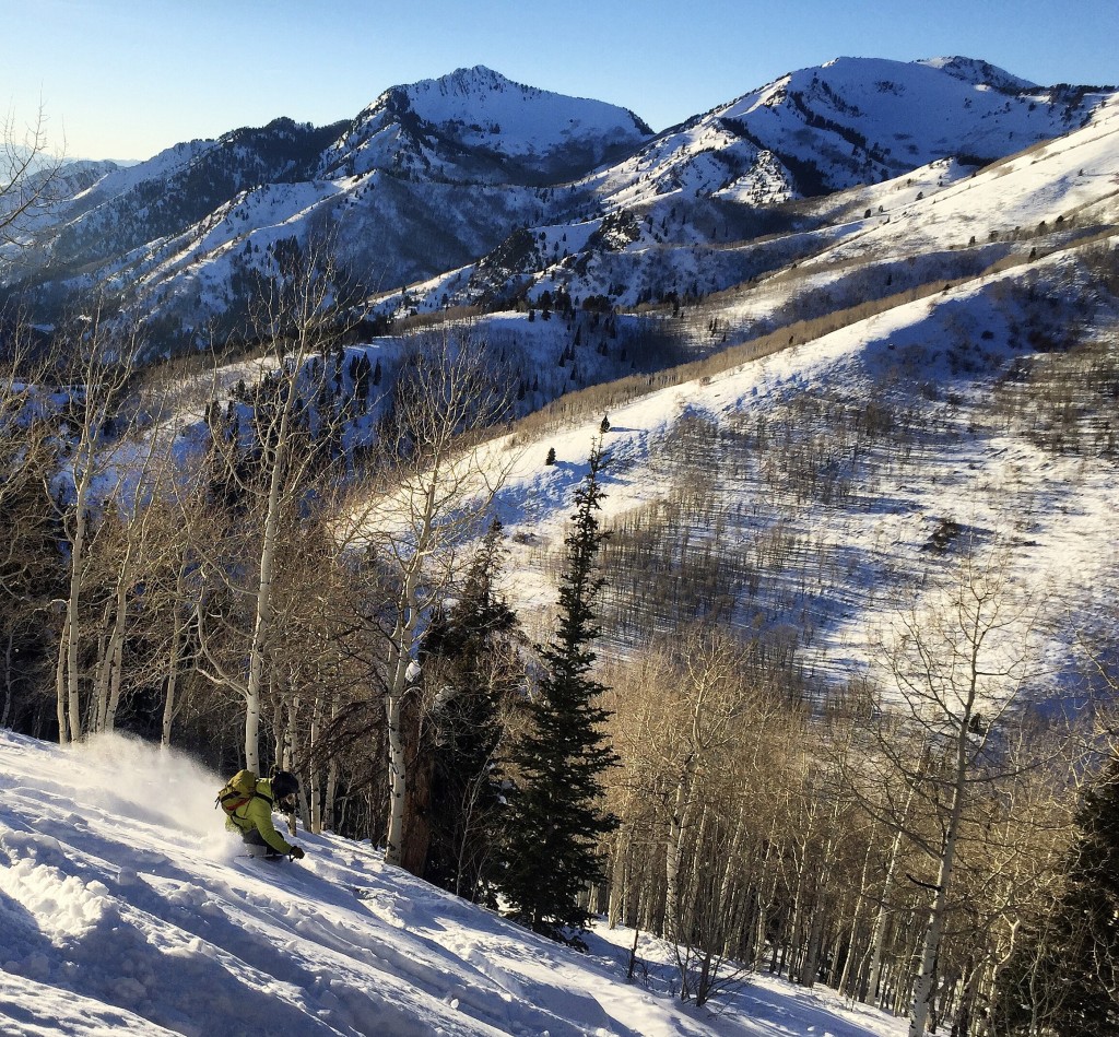 Wasatch powder, skiing in Utah