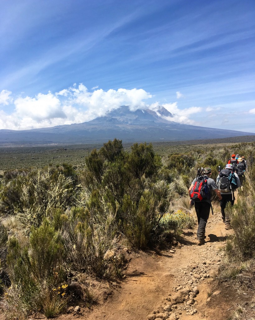 Walking towards Kilimanjaro.