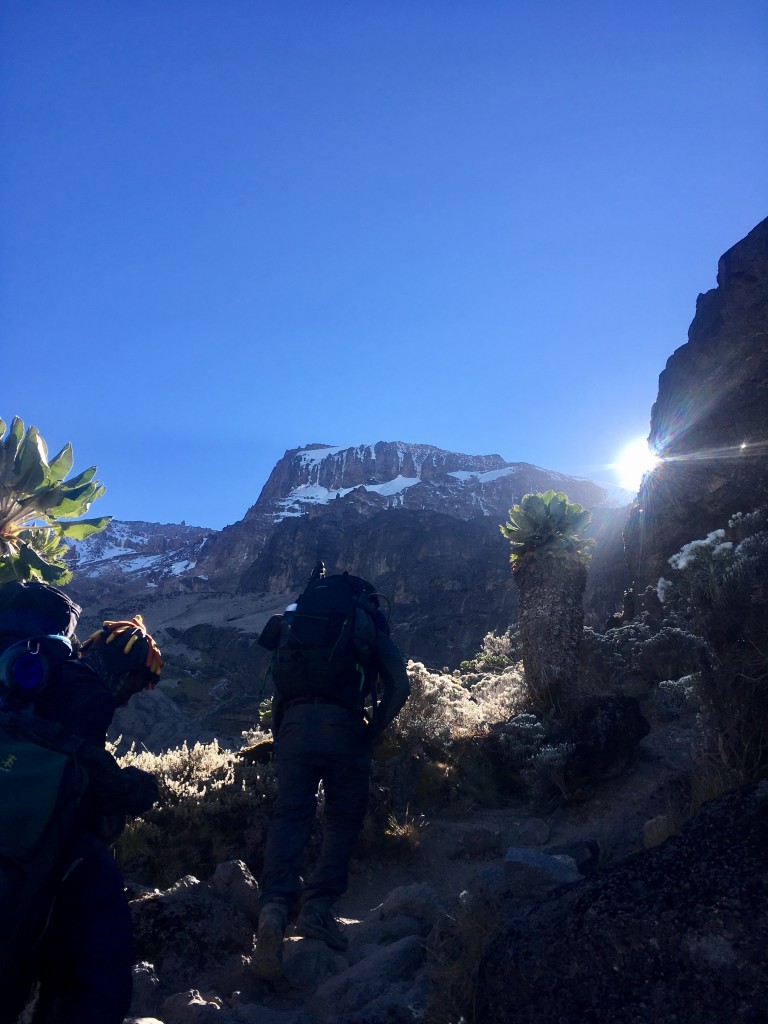 Below the Baranco wall on Kilimanjaro