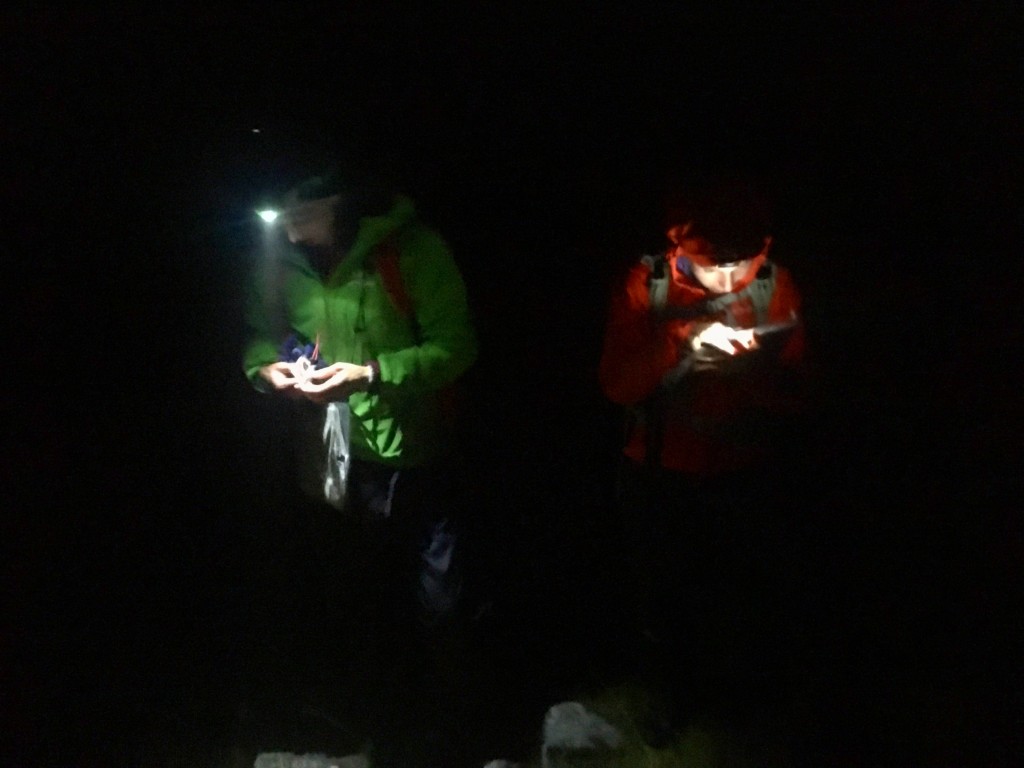 Mountain Training ML refresher night navigation